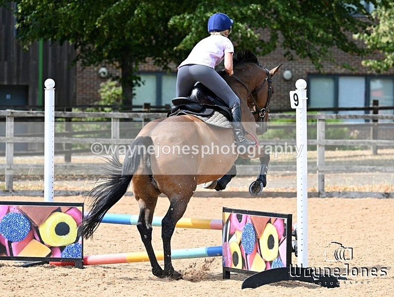 WJ7_6744 - Show Jumping at BCA