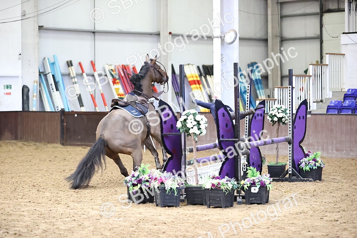 SBM_004006 - Class 14 - Senior British Novice - 90cm