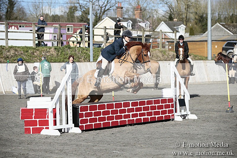 BVRC SJ 170319 116 - Bourne Valley Riding Club Showjumping 17/03/19