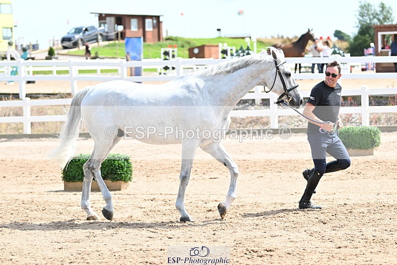 240717A-145412-02384 - Trot Up 2pm to 3pm - This folder is not in time order