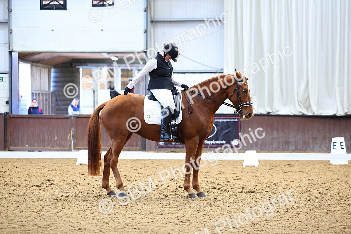 SBM_003768 - Class 14-15 - Novice 5 Novice 6