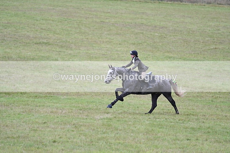 WJ7_4255 - Camera 1 Line 2