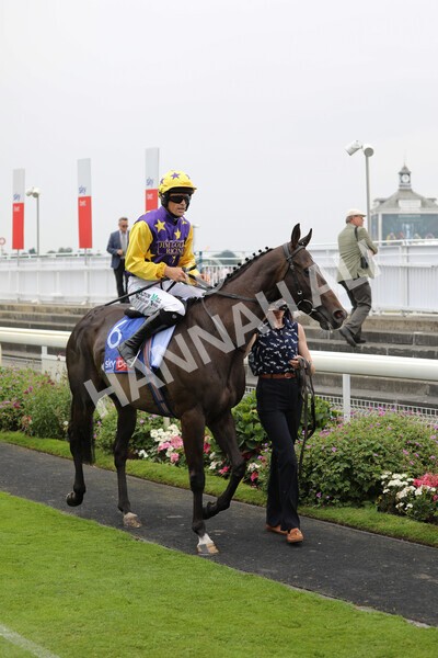 yr23072022r1-42 - Race 1 2.05pm Sky Bet Jump Jockeys Nunthorpe