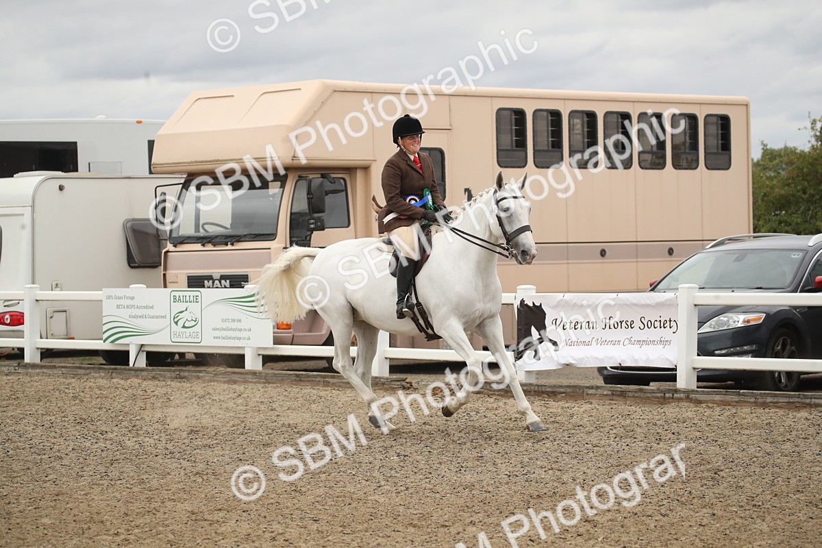 SBM_18340 - Class 509a - Working Veteran - 80cm (15-19)