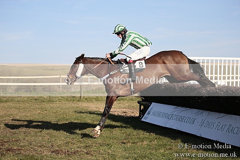 PtP 240218 605 - Vine & Craven Hunt Point-to-Point Barbury racecourse 24/02/18