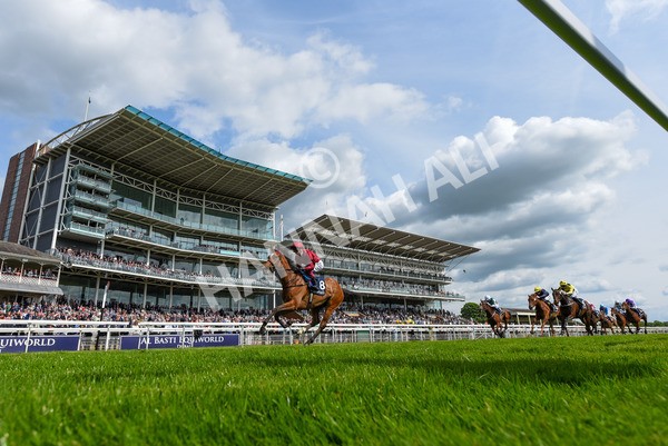 170523-Race 4-Soul Sister-3891 - Race 4 3.35pm Tattersalls Musidora Stakes