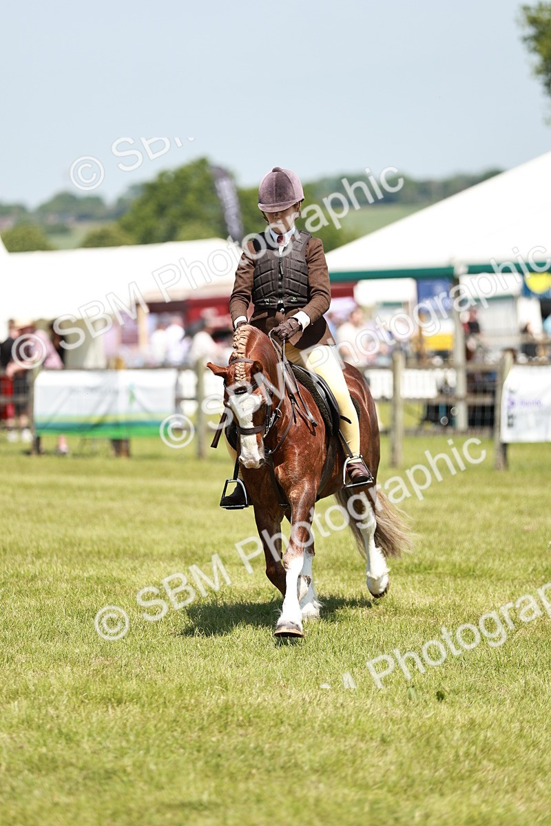 SBM_15512 - Class 108-109 - BSPS LIHS Open Gradle & Nursery Stakes