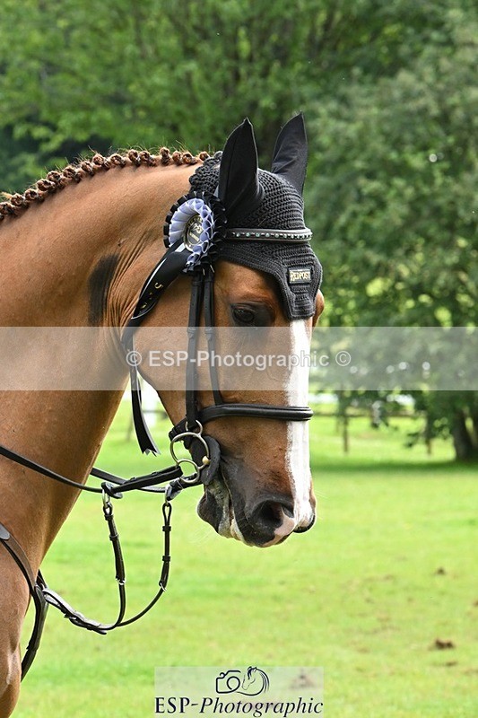 240713-103822-36885 - Cls 146 5 Yr Old Championships