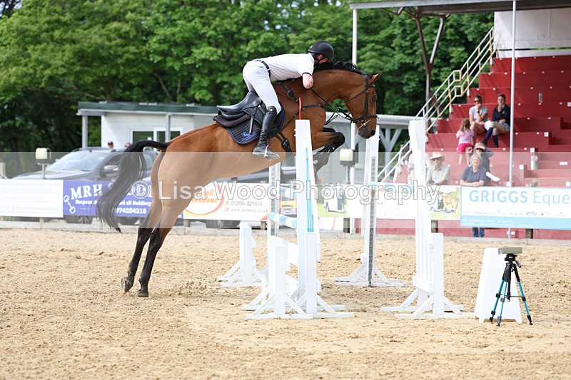 3E7A7830 - Class 8: Senior Foxhunter/1.20 open