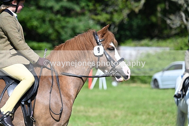 WJ7_0491 - Class 8 First Rally Pony