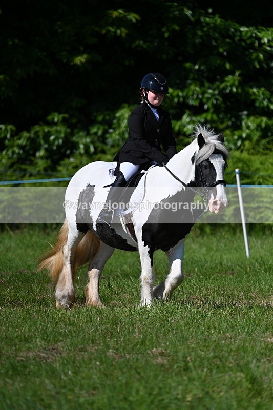 WJ7_0537 - Class 8 First Rally Pony