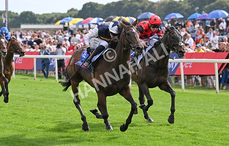 190826-188 Small Fry - Race 5 16.10pm Sky Bet Stayers Handicap