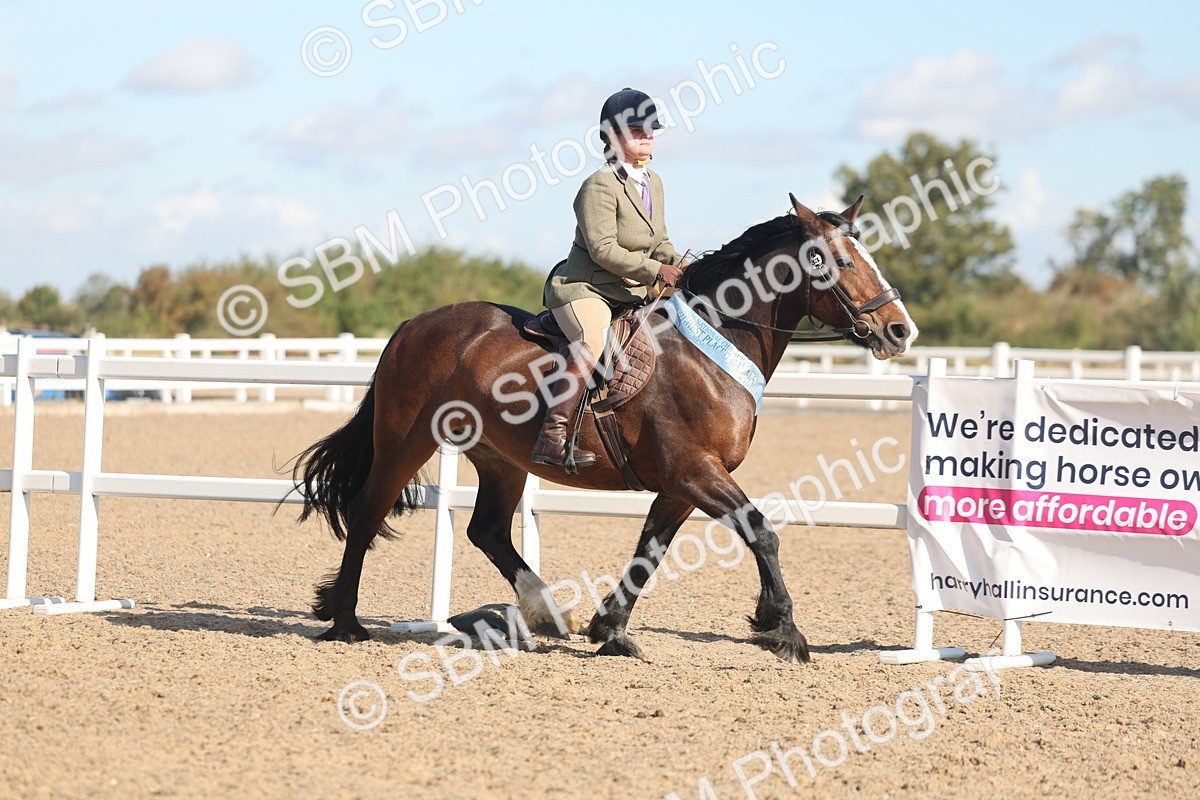 SBM_12447 - Class 304 - Ridden part Bred Horse Pony