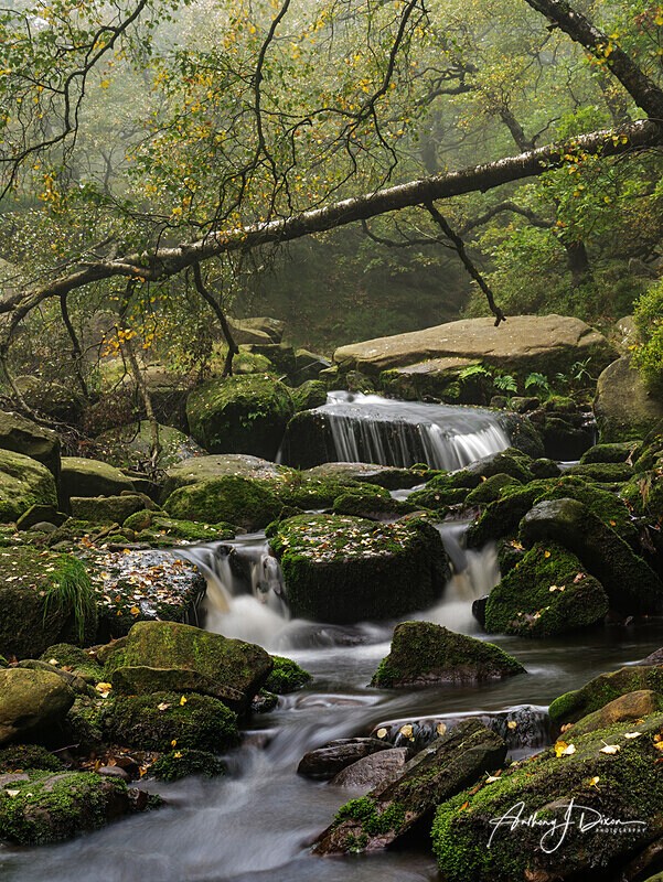 Middle Black Clough - Peak District