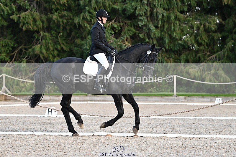 231110-134938-01069 - Cls 4 Novice 39Q