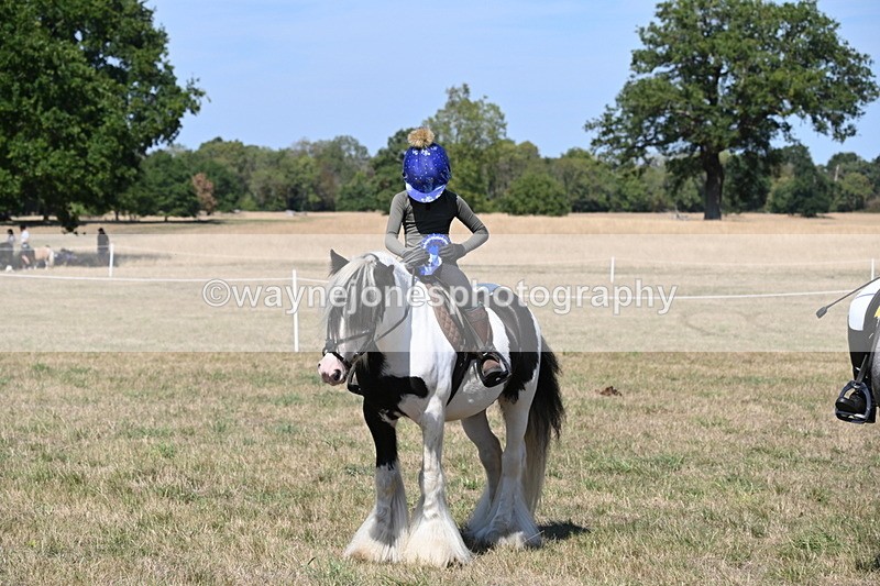 WJ6_9089 - Class 38 Ridden Riding Horse/Pony