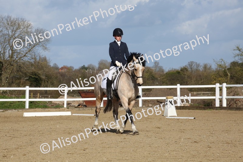 20260314-5205 - DR6 - Novice 2