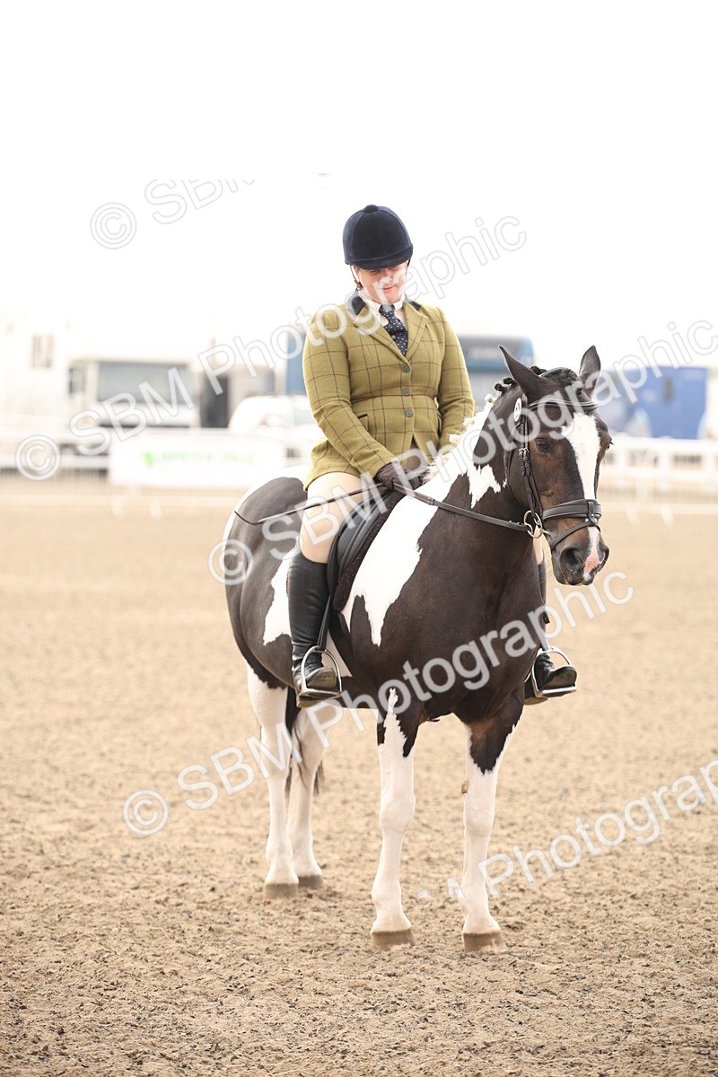 SBM_09743 - Class 401 Riding Club Pony