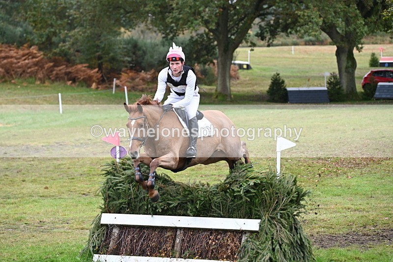 WJ6_2893 - 80cm Cam 1 Pairs Time 12:19 to 12:49