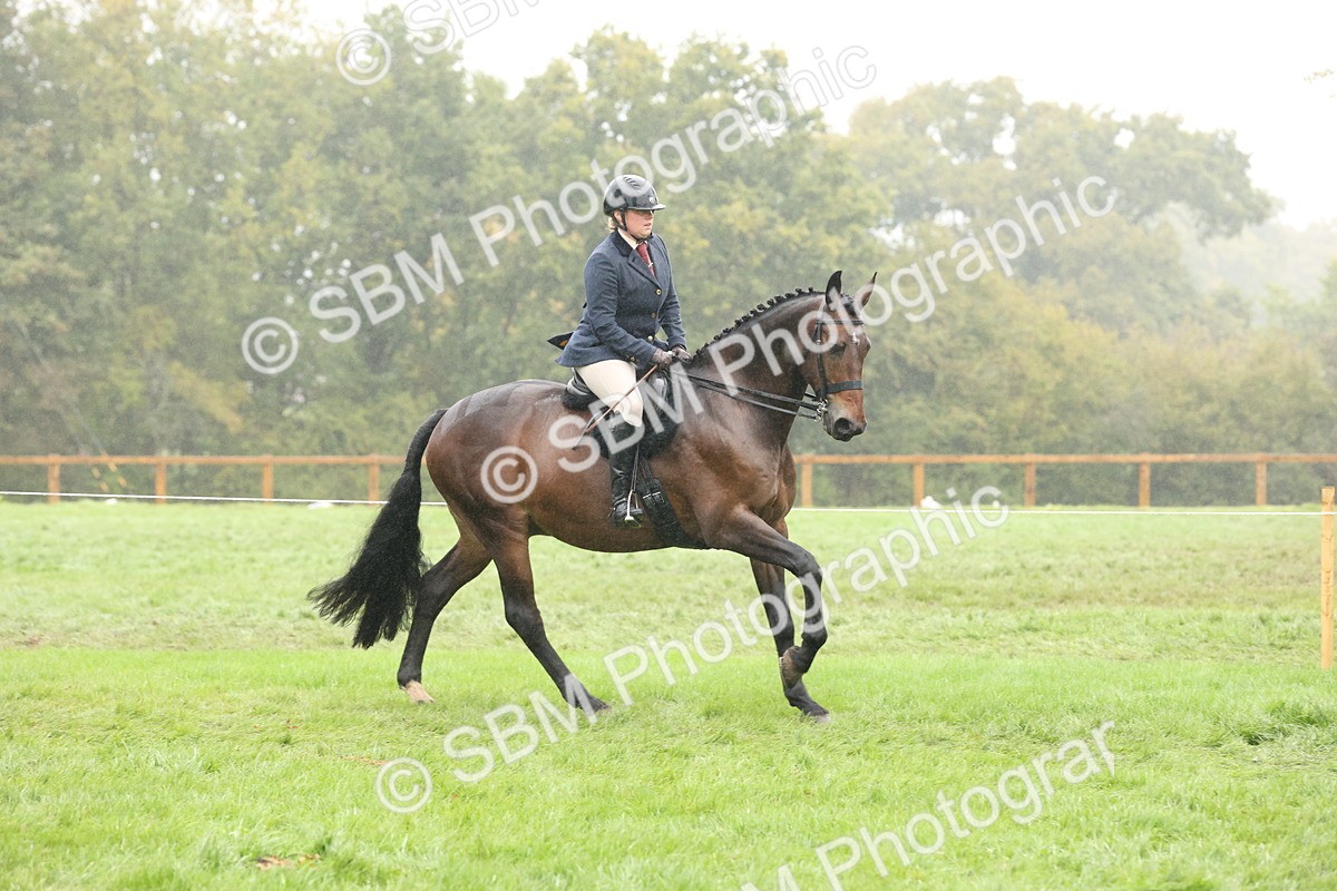 SBM_72909 - Ridden Horse Supreme Championship