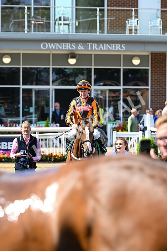 020725-Race 5-Mereside Madness-2611 - Race 5