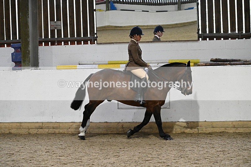 WJ7_3898 - Class 17 Ridden Cob