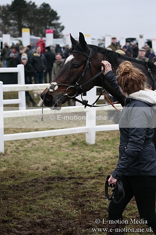 PtP 180218 551 - Combined Services Point-to-Point Larkhill 18/02/18