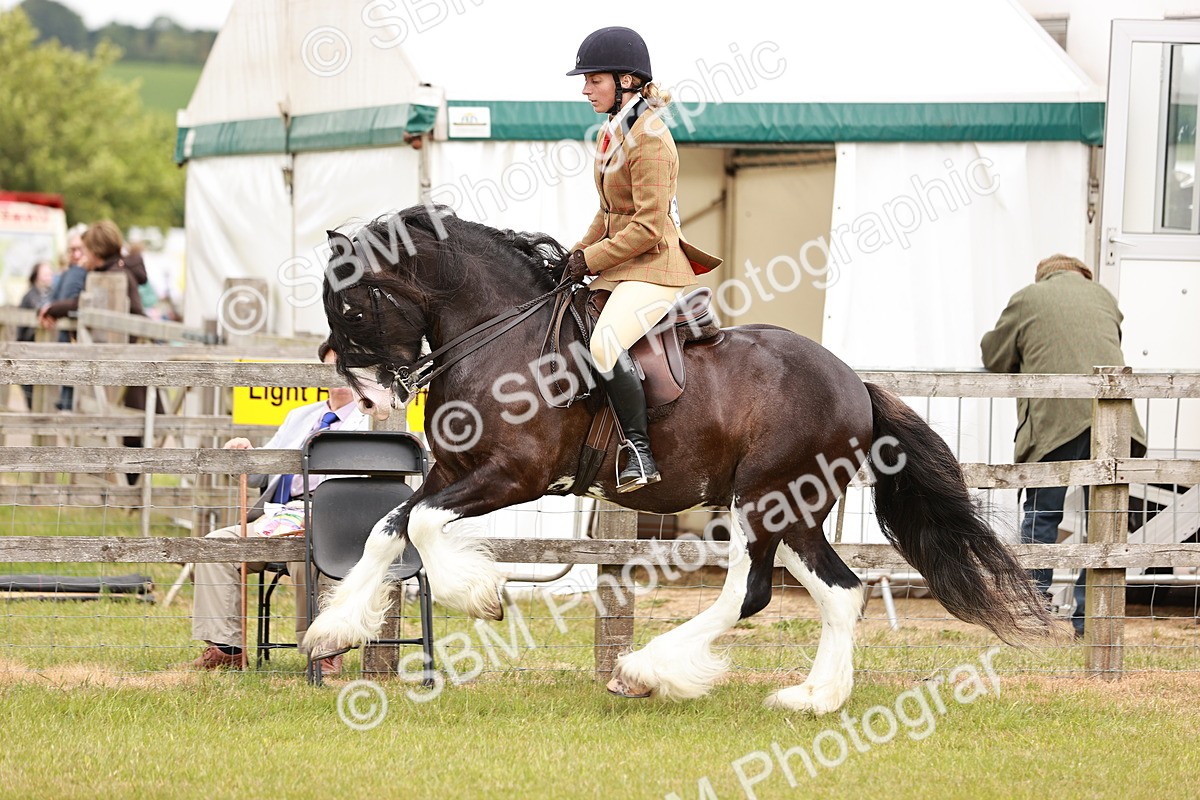SBM_06165 - Class 39-41 TGCA In Hand and Ridden
