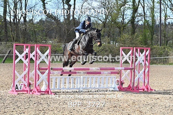 BPP_3727 - CLASS 3 FRI Senior British Novice/ 90cm Open