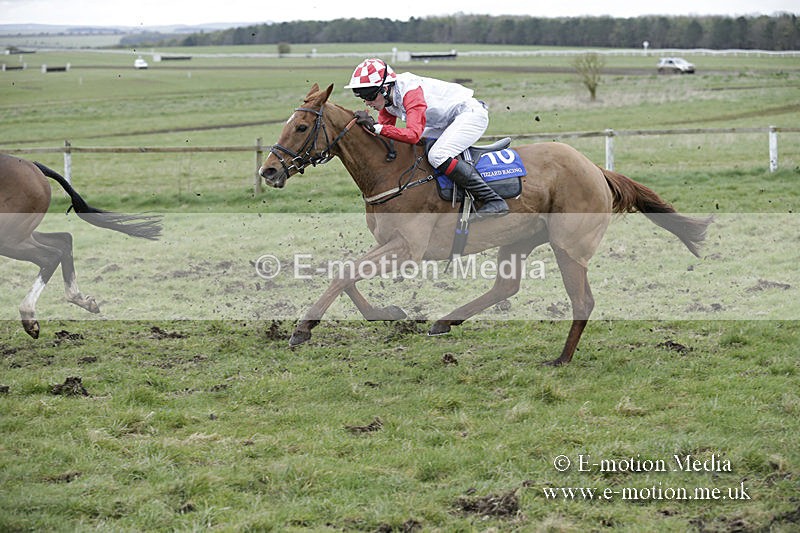 PtP 150320 0882 - New Forest Point-to-Point Larkhill 15/03/20