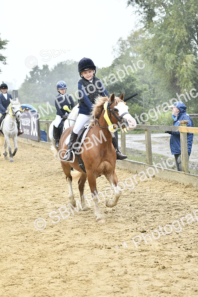 SBM_71057 - J3 - Mini Tour Junior Pony 40cm championship