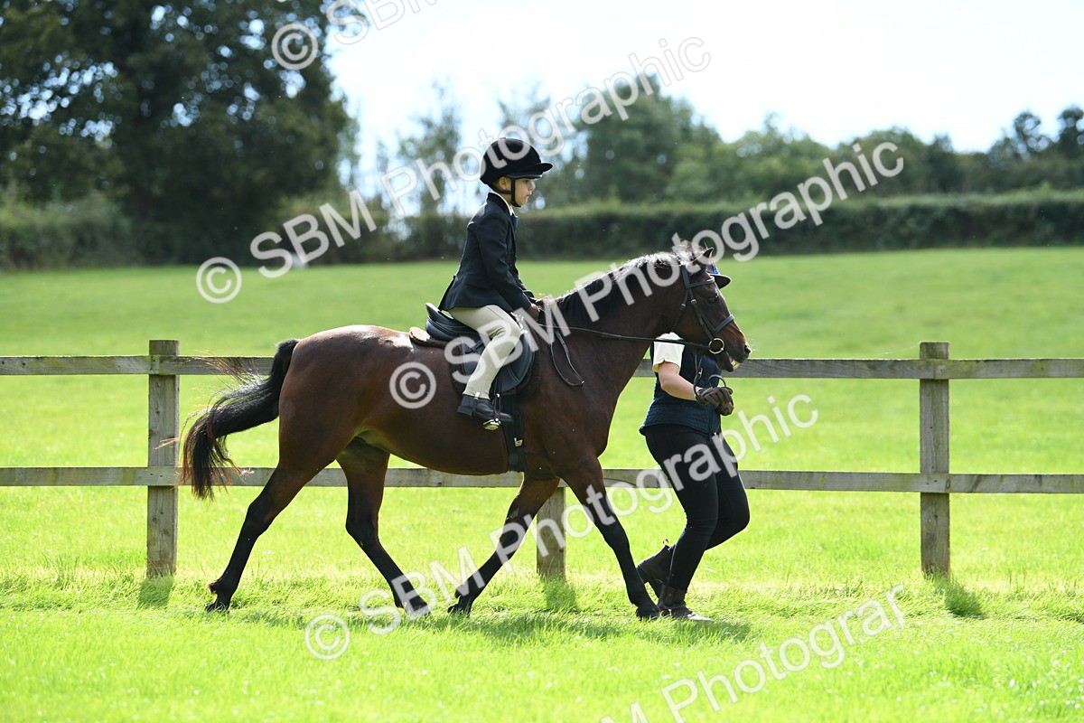 SBM_42536 - S20 - Lead Rein Mountain & Moorland Pony