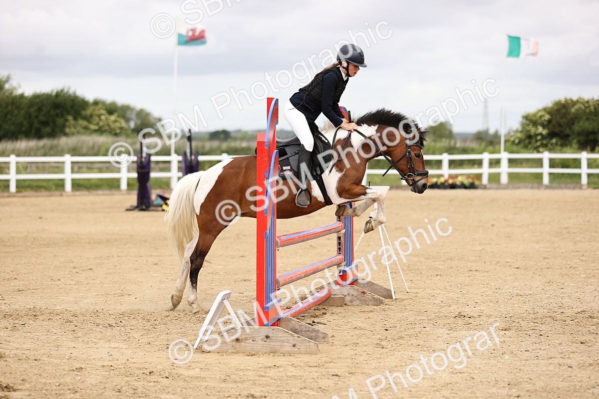 SBM_007068 - Class 2 - 80cm showjumping