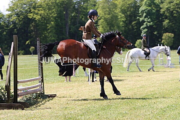 IMG_3729 - Working Hunter