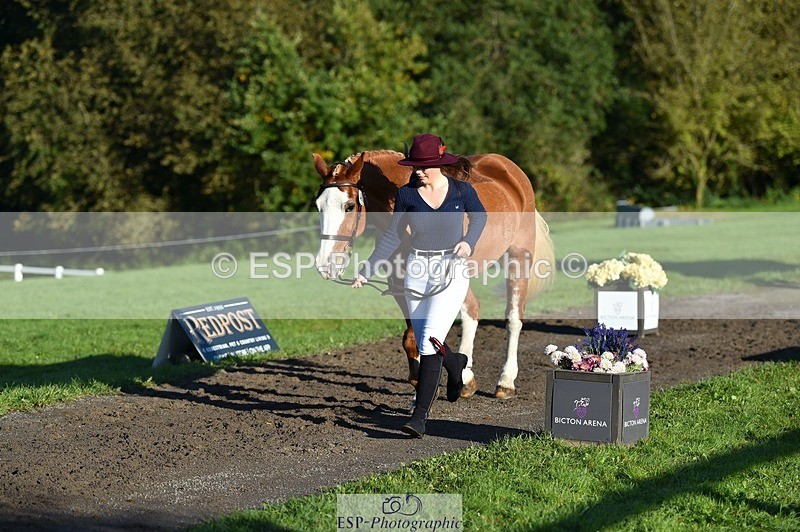 231022-094000-21955 - 499-GORFELYN.PETER.THE.GREAT-Charlotte.Bellamy-TrotUp+SJ