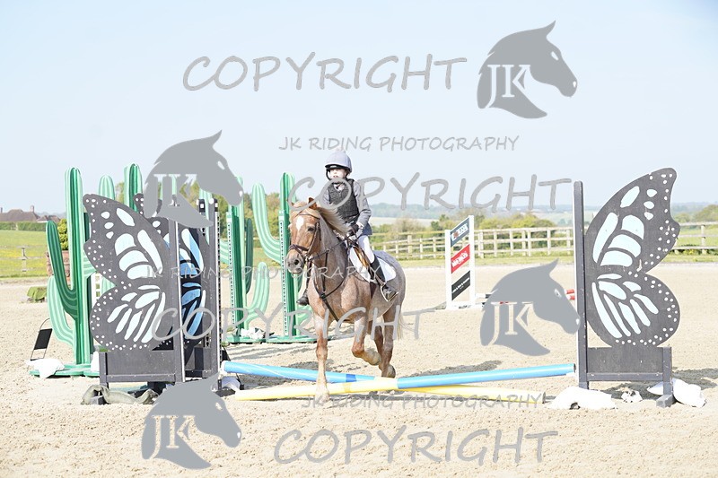 _DSC6423 - USJL Oakingham Stud 27.04.25