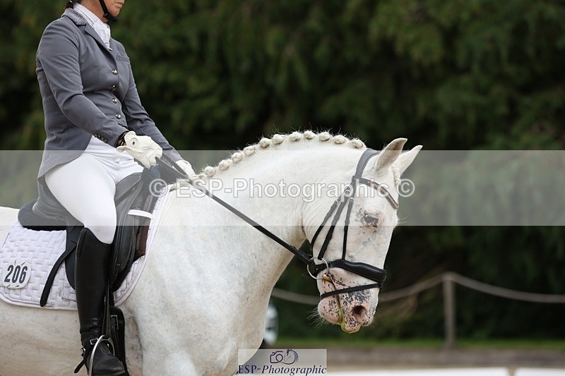 230813-143625-07832 - Cls 11 Elem Bronze 14.30 to End