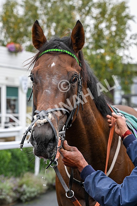 011025-Race 2-Campenaerts-0211 - Race 2