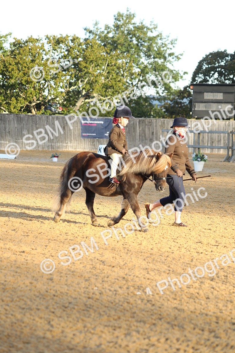 SBM_33532 - D26 - Starers - Lead Rein