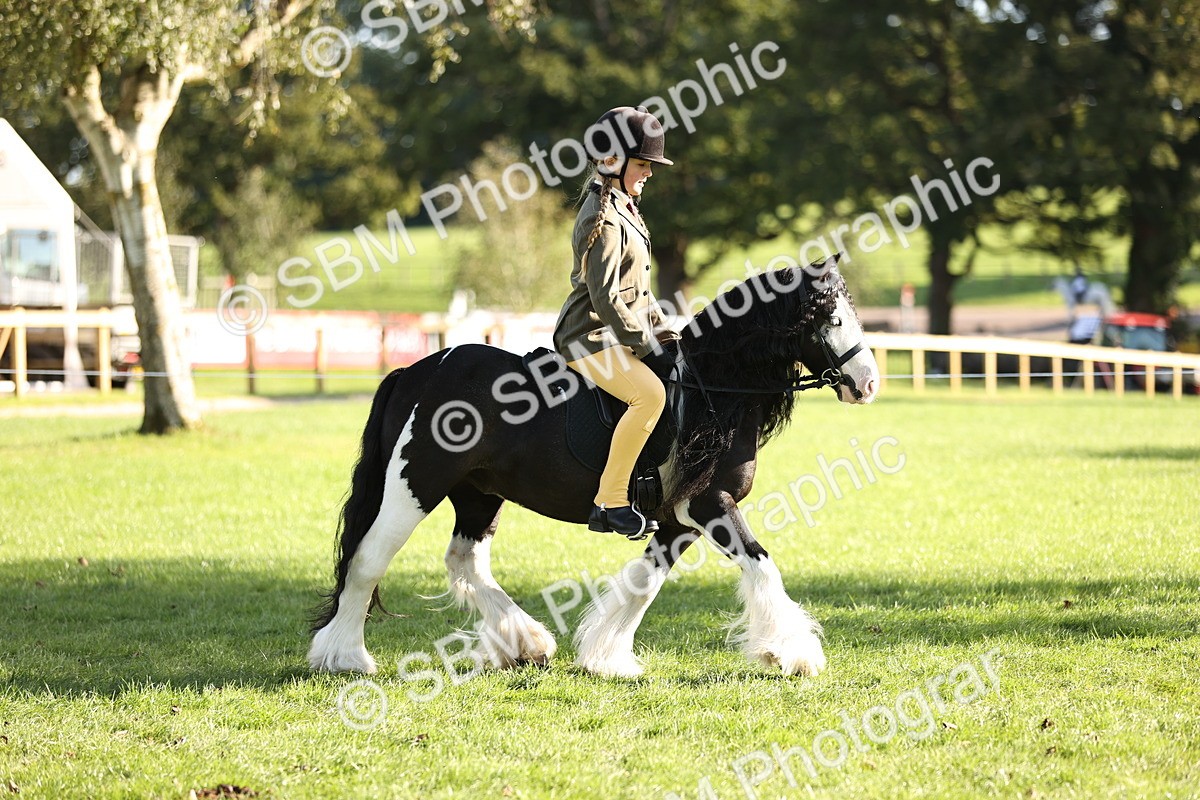 SBM_29307 - S7 - Novice & Newcomers Ridden Pony