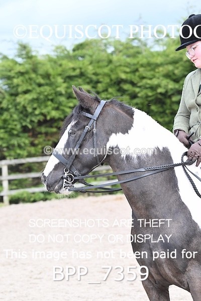 BPP_7359 - RING 1  (RIDDEN HORSES / IN HAND / VETERAN ETC)