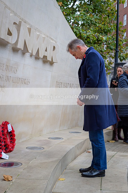 NGP_8271 - 2024 Animals in War Remembrance Gathering