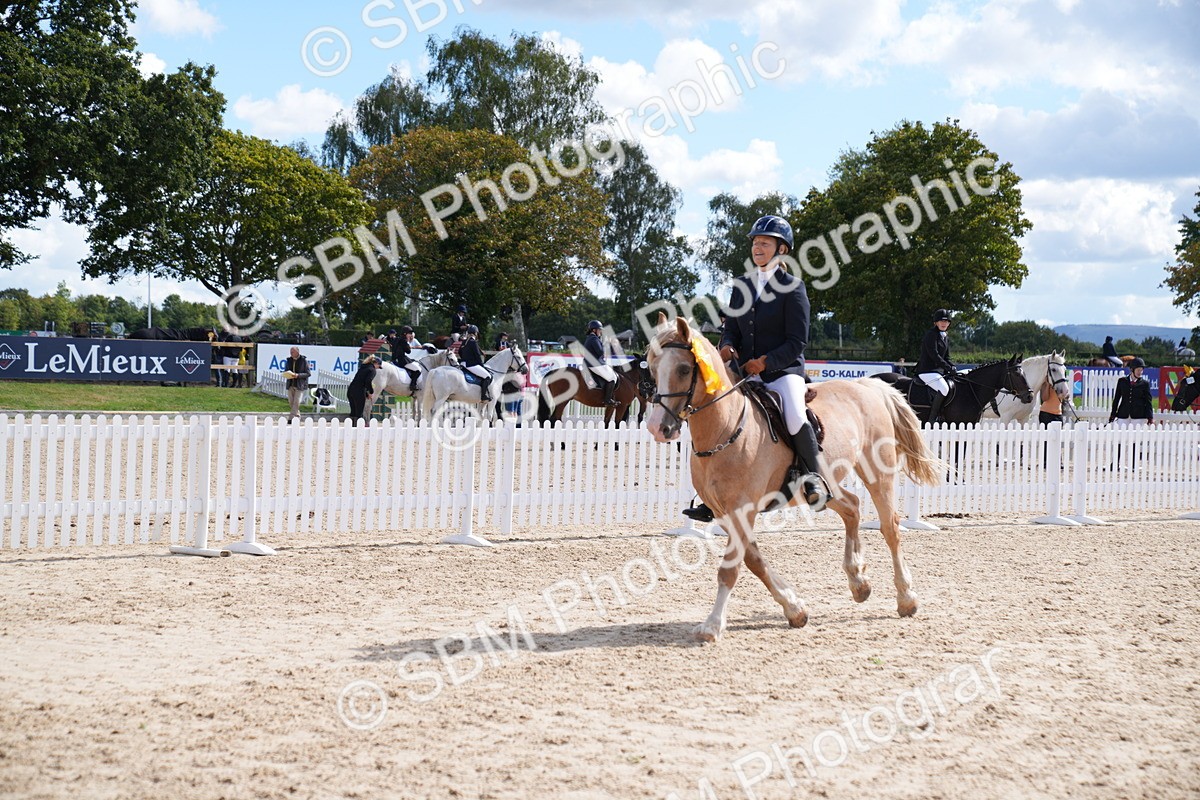 SBM_05205 - J35 Veteran 60cm Championship