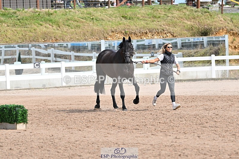 240717A-161616-03394 - Trot Up 4pm to 5pm