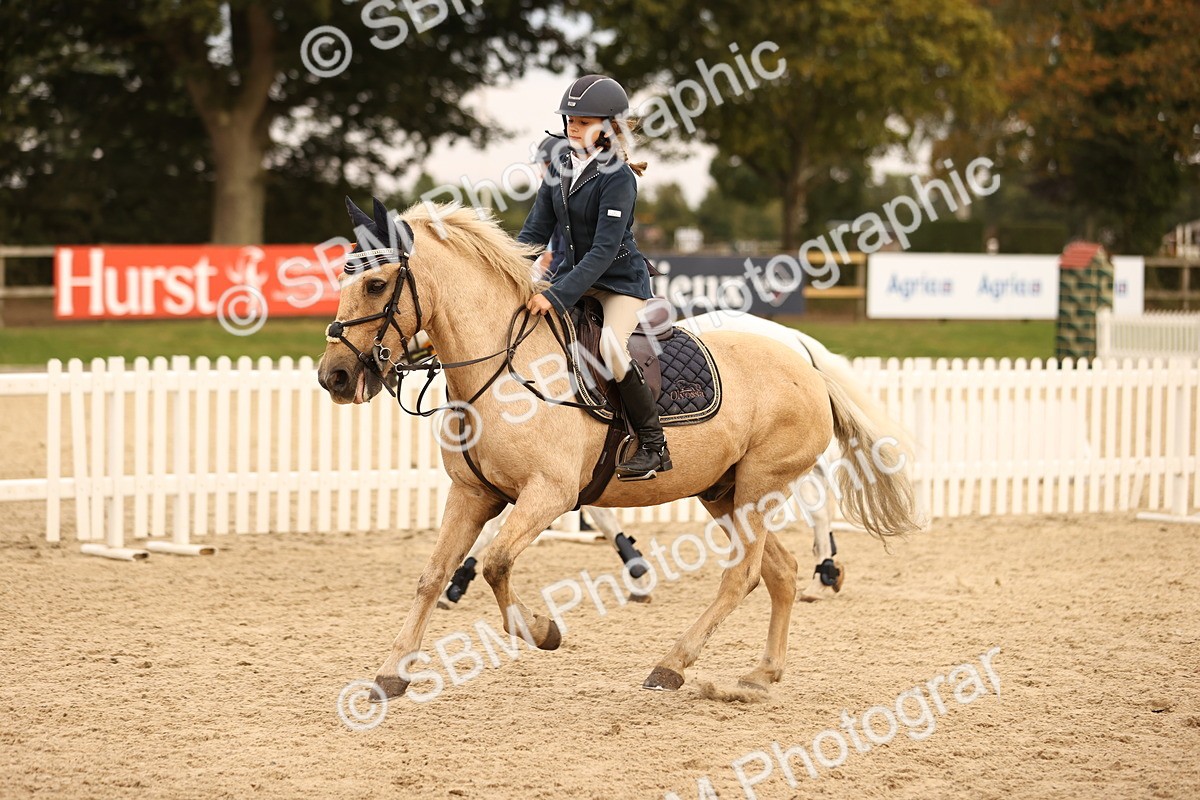 SBM_74514 - J14 - Junior Pony 65cm Championship