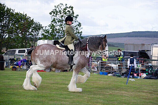 DSC_0232 - Ring 1