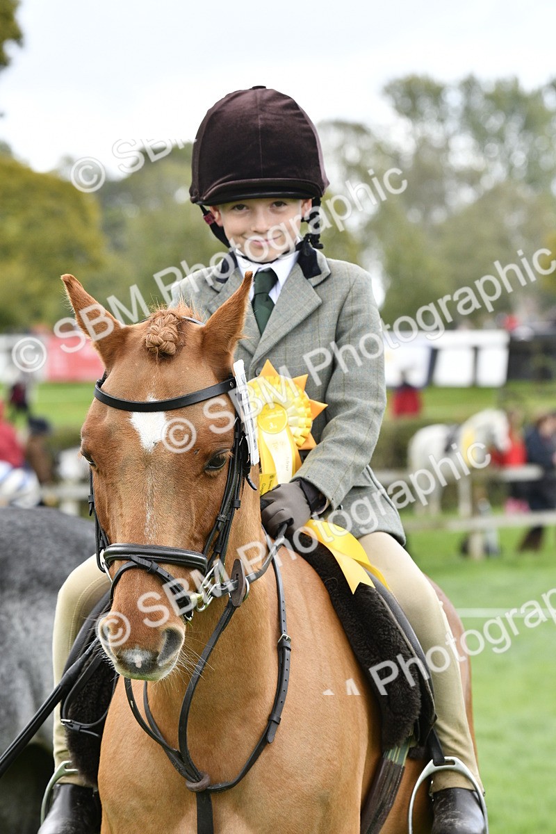 SBM_38290 - S31 - Novice & Newcomer Working Hunter Pony