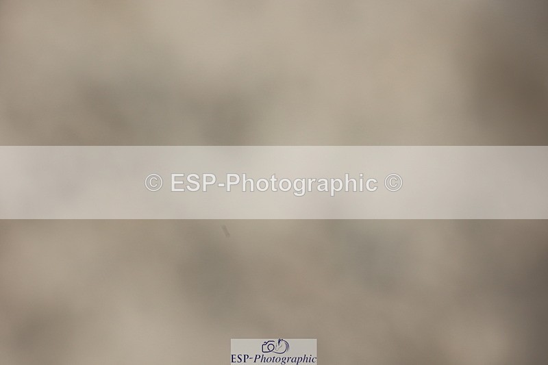 250718A-163015-02859 - Fri Presentations