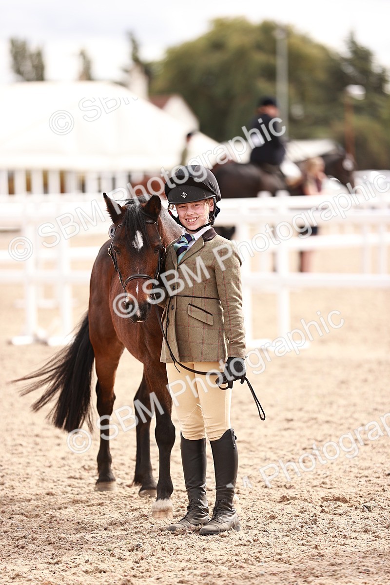 SBM_18304 - Class 417 - Handsome Gelding (IH or Ridden - JNR)