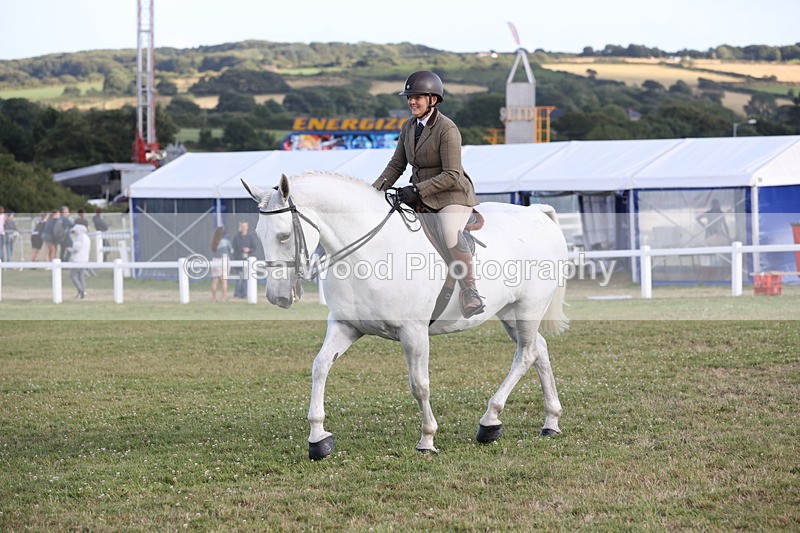 JPP_3553 - Class 22: Working Hunter 90cm